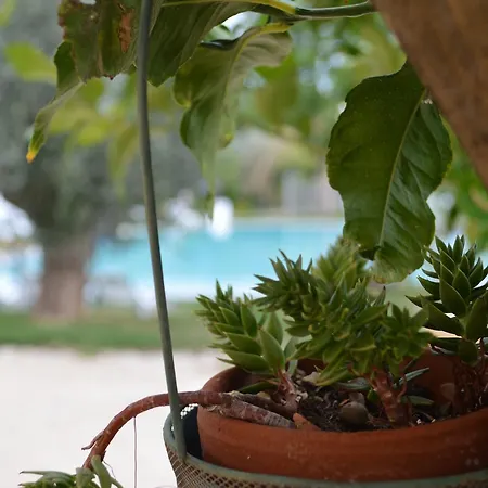 Hotel Torre Santamaria 4*